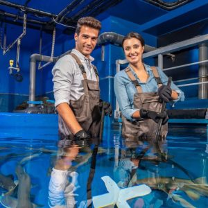 Dubai Aquarium & Underwater Zoo - Shark Trainer Encounter Experiences