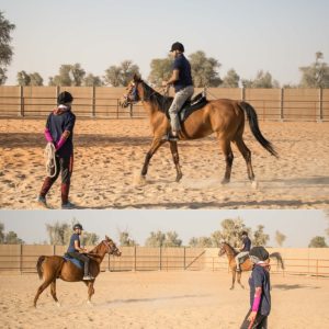 Horse Riding Training Course One Session Sports Events