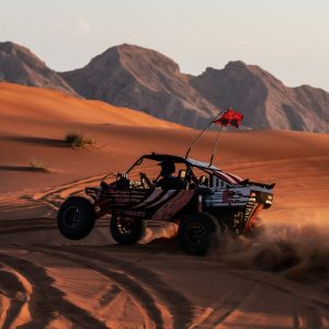 Dune Buggy Experience with Optional BBQ dinner Desert safaris